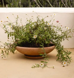 Ada Planter