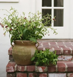 Aged Terracotta Urn