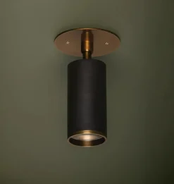 Albion Flush Mount Brass
