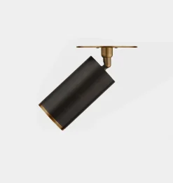 Albion Flush Mount Brass
