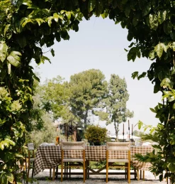 Ash Outdoor Dining Chair