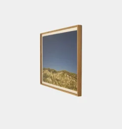 Before The Coastline by Shade Degges Framed Print