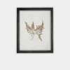Botanical II Framed Print
