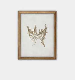 Botanical II Framed Print