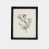 Botanical Sketch Framed Print