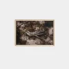 Bough by Shade Degges Framed Print