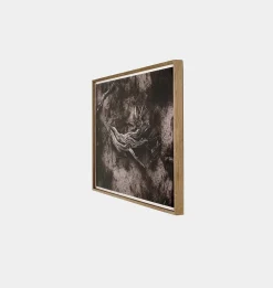 Bough by Shade Degges Framed Print