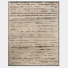 Briyana BRI-04 Natural / Black Area Rug