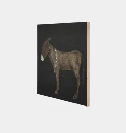 Burro Noche by Paul Meyer Framed Print