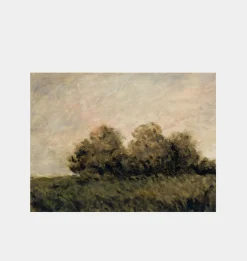 Clasica VIII