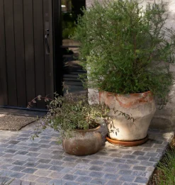 Classic Aged Planter