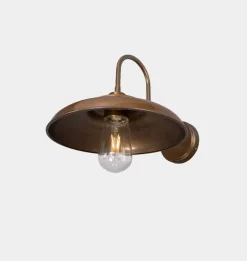 Darya Swan Neck Wall Light