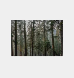 Desolation Wilderness
