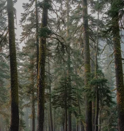 Desolation Wilderness