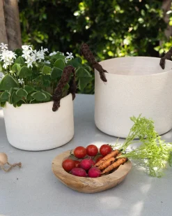 Dylan Planter