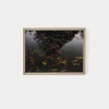 Echo by Shade Degges Framed Print