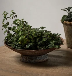 European Saucer Planter