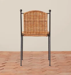 Felicia Indoor / Outdoor Dining Chair