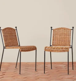 Felicia Indoor / Outdoor Dining Chair