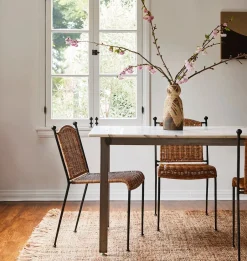 Felicia Indoor / Outdoor Dining Chair