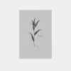 Fiore No.I