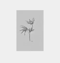 Fiore No.II