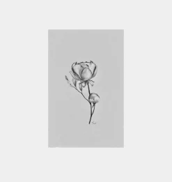 Fiore No.IV