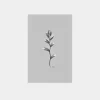 Fiore No.V