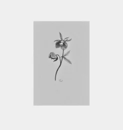 Fiore No.VI