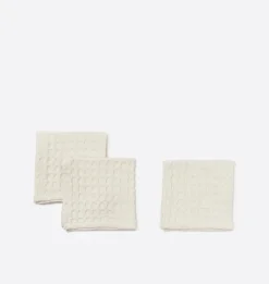 Flynn Waffle Dish Cloth S/3