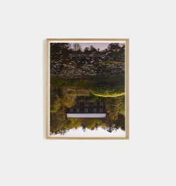 Frame Of Reference by Shade Degges Framed Print