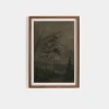 Gloam by Chelsea Fly Framed Print