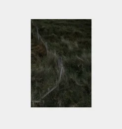 Grassy Ascent Unframed Print