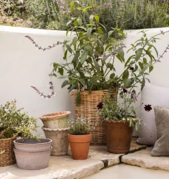 Helena Planter