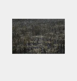 Hera Unframed Print