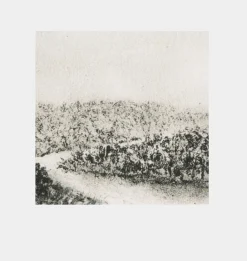 Hill Country Study II