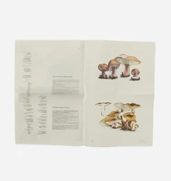 John Cage: A Mycological Foray