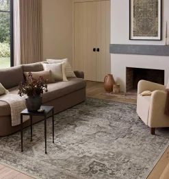 Josie JOS-03 Silver / Natural Washable Area Rug