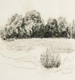 Land Sketch 1 Framed Print