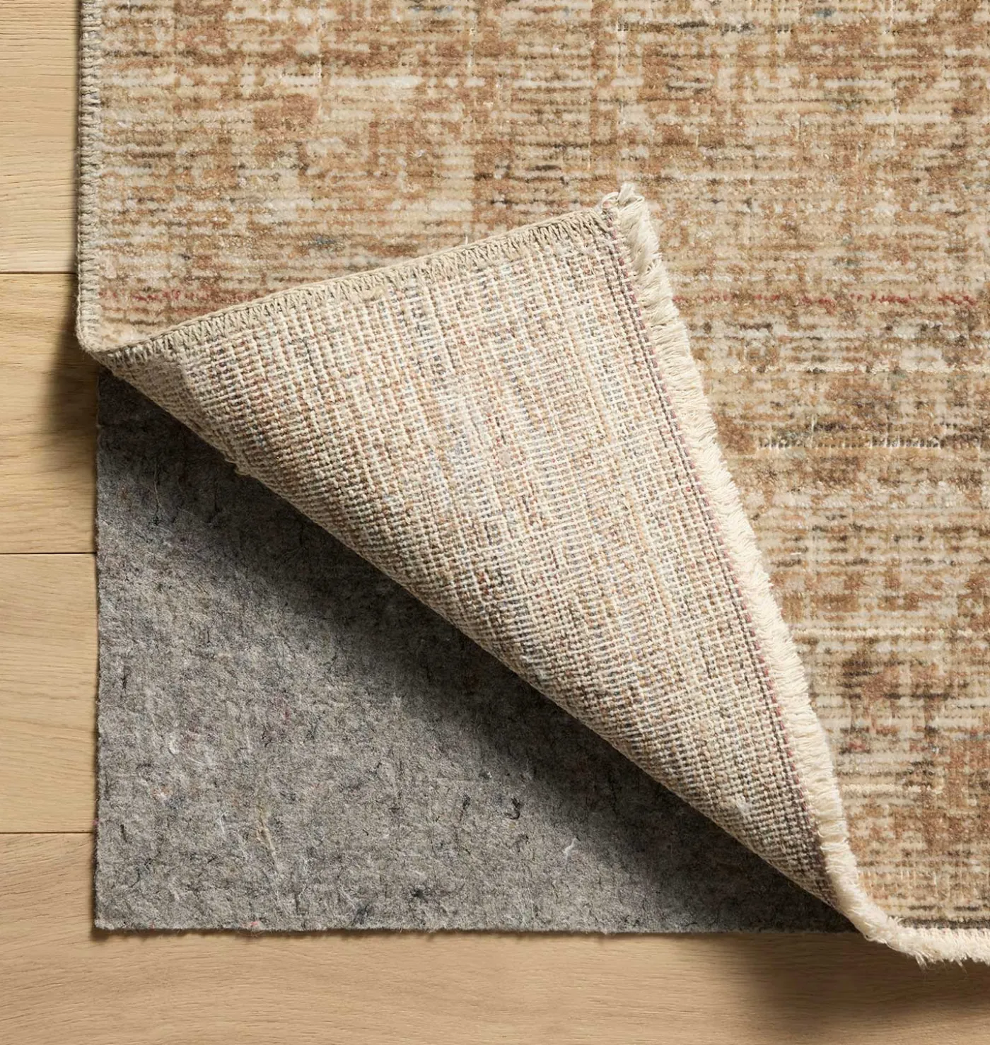Molly MOL-08 Antique / Multi Area Rug