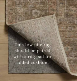 Molly MOL-06 Gold / Blue Area Rug