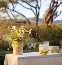 Monroe Martini Glass