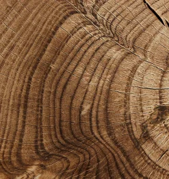 Montero Wood Bowl