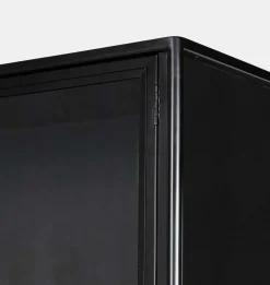 Morelos Cabinet