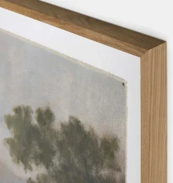 Morning Glory Framed Print