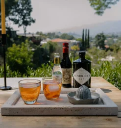 Ravine Citrus Juicer