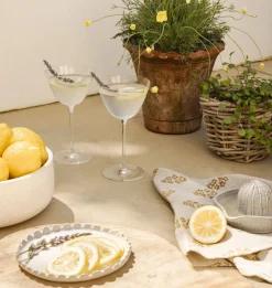 Ravine Citrus Juicer