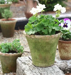Scalloped Nursery Planter