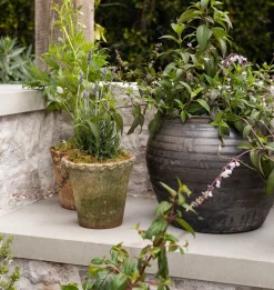 Scalloped Nursery Planter