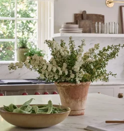 Scalloped Nursery Planter